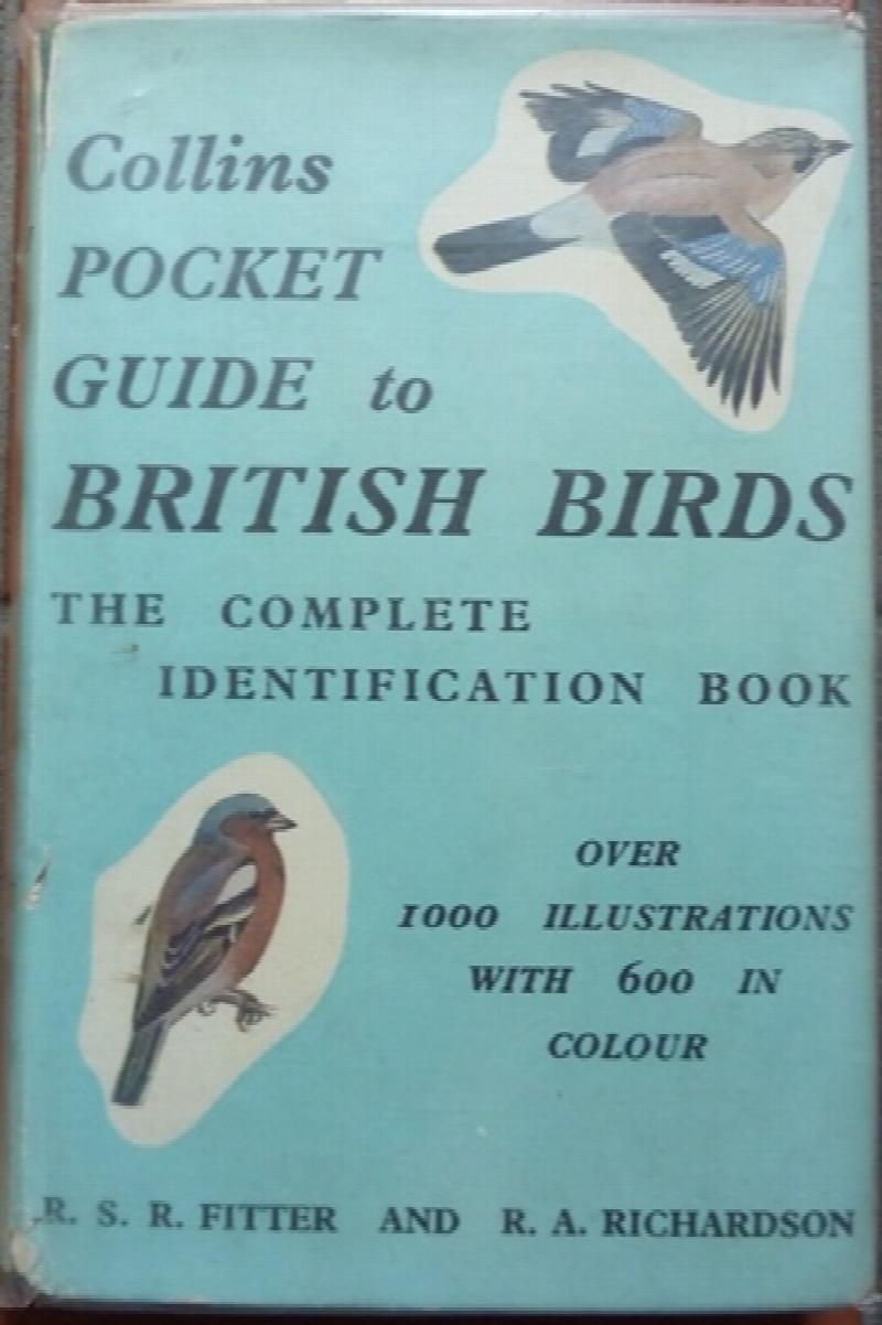 R. A. Richardson and Peter Scott - The Pocket Guide to British Birds