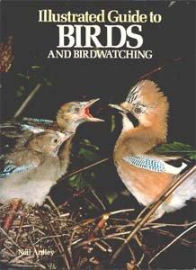 Ardley, Neil - Illustrated Guide to Birds and Bird Watching (Kingfisher)