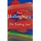 Hollinghurst, Alan - Folding Star