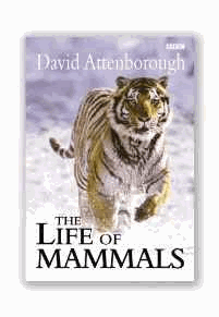 Attenborough, David - The Life of Mammals